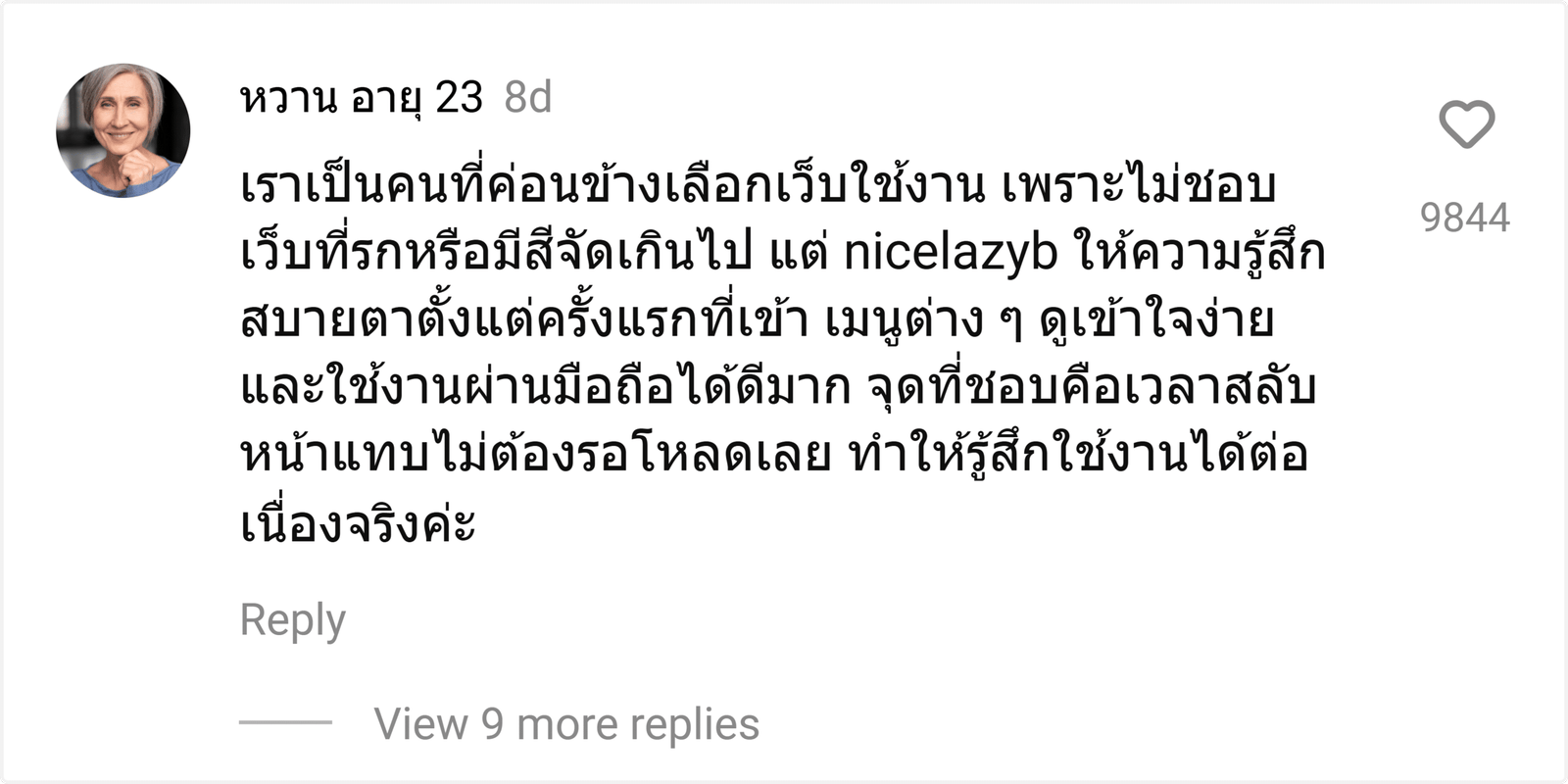 nicelazyb